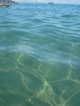 Das saubere und klare Meer