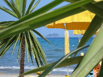 Karibik Stimmung mit Palmen